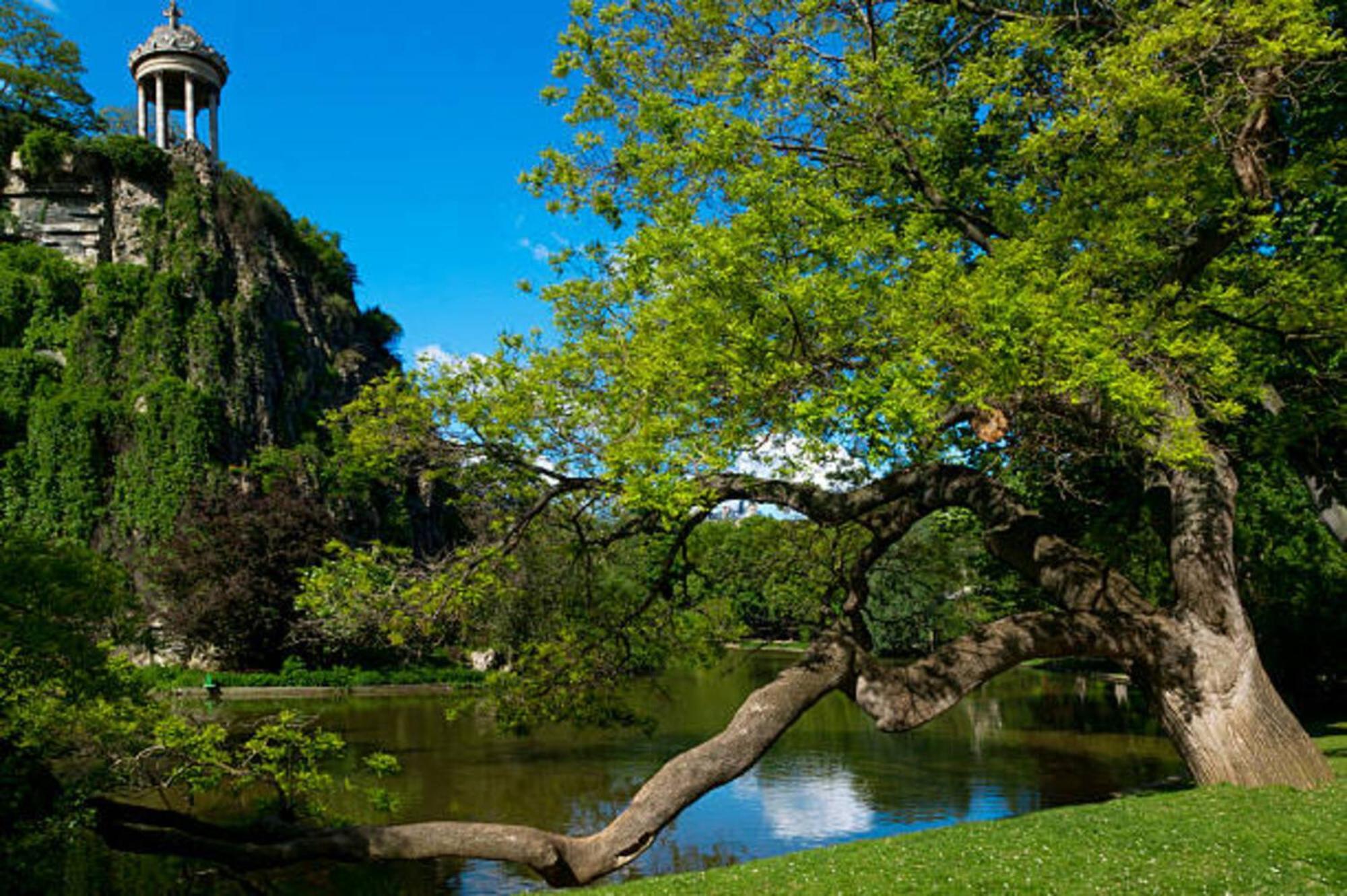 Buttes Chaumont - Amazing Duplex - 6062 Paris